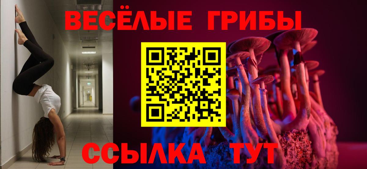 Галлюциногенные грибы Magic Shrooms Саратов