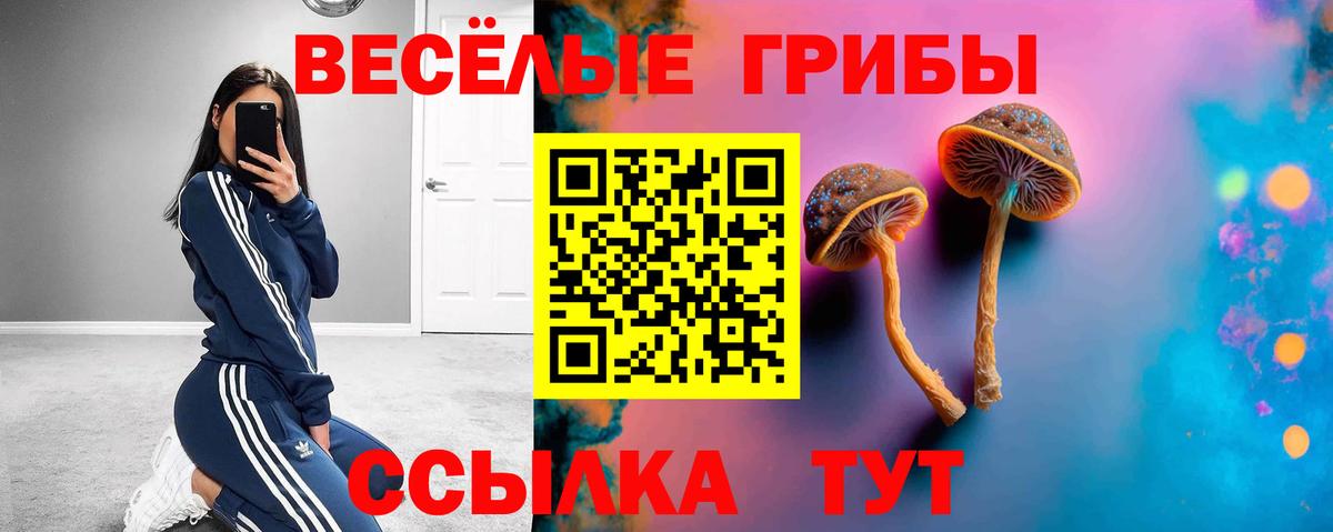 Саратов  Галлюциногенные грибы ЛСД  Вход с VPN 